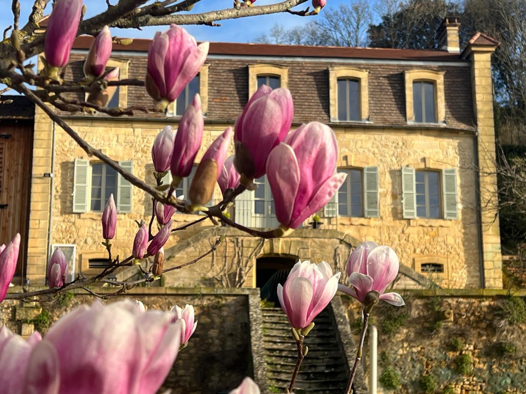 Le Clos De L'Ane Dentelle Vézac Buitenkant foto